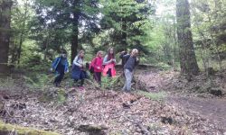 Classe Decouverte   041